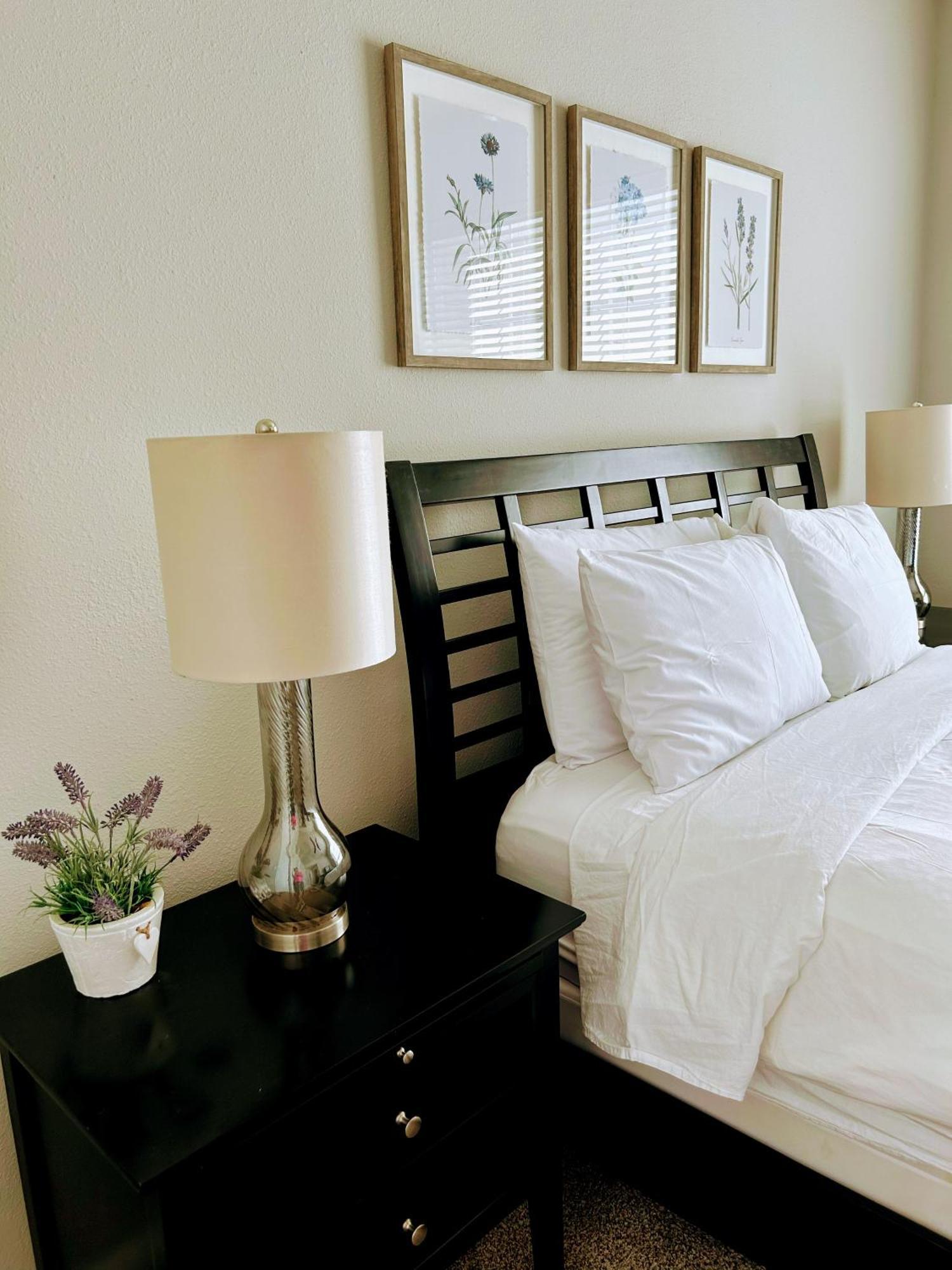 Hidden Gem At Med Center 2Br & 2Ba Apartment Houston Extérieur photo